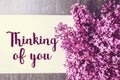 Thinking of you - card. Natural flowers  Lilac . Photo in lilac tones Royalty Free Stock Photo