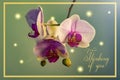Thinking of you -card. Photo of pink orchid flowers Royalty Free Stock Photo