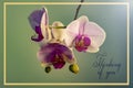 Thinking of you -card. Photo of pink orchid flowers Royalty Free Stock Photo