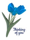 Thinking of you - card. Tulip frame. Vector stock illustration eps10.