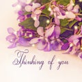 Thinking of you - card. violet flowers. Royalty Free Stock Photo