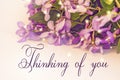 Thinking of you - card. violet flowers. Royalty Free Stock Photo