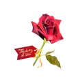 Thinking of You. Red rose with card