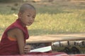 A thinking young monk