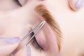 Thinning of eyebrow hairs after eyebrow coloring and lamination procedures Royalty Free Stock Photo