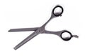 Thinning shears, a pair of hair scissors with blades with teeth on the edge like a comb used to reduce hair thickness
