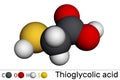 Thioglycolic acid, TGA, mercaptoacetic acid molecule. It is sulfur-containing carboxylic acid, used to make permanent wave