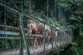 The third bridge from Yuksom to Sachen, West Sikkim, India