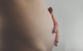 Pregnant Woman Belly. Pregnancy Concept. The third or fourth month. Second trimester. Pregnant tummy close up