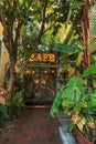 Third Wave Cafe courtyard entrance at sunrise with lights and a tranquil jungle environment Royalty Free Stock Photo