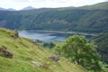Thirlmere Royalty Free Stock Photo