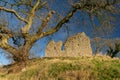 Thirlwall castle, Northumberland, UK