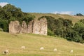 Thirlwall Castle with sheep