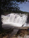 Thirparappu falls near parcel
