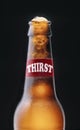 Thirst beer Royalty Free Stock Photo