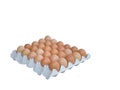 thirty brown eggs by isolated group of fresh chicken egg on paper tray a high protein food ingredient Royalty Free Stock Photo