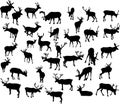 Thirty four deer silhouettes