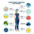 Thirty most healthy products for the body. In minimalist style Cartoon flat Vector Royalty Free Stock Photo