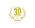 Thirty year anniversary badge
