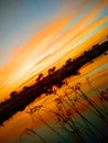 Thish picture my villge river evning time sun very beutyful