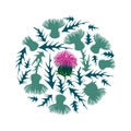 Vector round bunch of silhouette Thistle or Carduus plant, spiny leaf, bud and flower in pastel green and pink isolated on white. Royalty Free Stock Photo