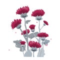 Thistle or burdock flowers. Cartoon thistle isolated on white, vector illustration