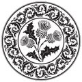 Thistle flower and ornament round leaf thistle. The Symbol Of Scotland