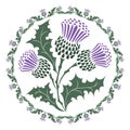 Thistle flower and ornament round leaf thistle. The Symbol Of Scotland Royalty Free Stock Photo