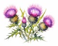 Thistle flowers over white background in a vivid watercolor style.