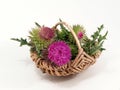 Thistles in the basket Royalty Free Stock Photo