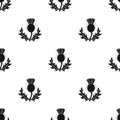 Thistles with green leaves.Medicinal plant of Scotland.Scotland single icon in black style vector symbol stock