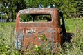 Thistles growing around an old cab of a pickup Royalty Free Stock Photo