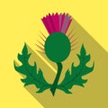 Thistles with leaves.Medicinal plant of Scotland.Scotland single icon in flat style vector symbol stock