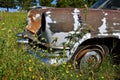 Thistles and wild flowers growing around an old car with flat tir3e