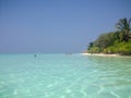 Thoddoo Alif Alif Atoll, Maldives - February 12, 2017: The beautiful sandy beach