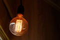 Thomas Edison Bulb