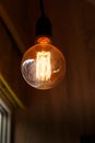 Thomas Edison Bulb Royalty Free Stock Photo