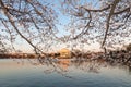 Thomas Jefferson Memorial across Tidal Basin during cherry blossom festival. Royalty Free Stock Photo