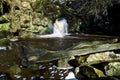 Thomason Foss Waterfall, Thomason Woods, Beck Hole Royalty Free Stock Photo