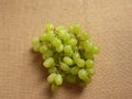 Thompson Seedless grapes Royalty Free Stock Photo