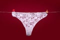 Thong lace bikini panties, white sexy underwear lingerie on rope isolated on red background. Royalty Free Stock Photo