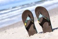 Thongs Royalty Free Stock Photo