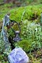 Thor`s hammer on a moss covered stump Royalty Free Stock Photo