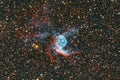 Thor`s Helmet Nebula NGC2359