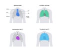 Thoracic cavity poster