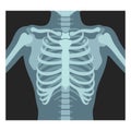 Thorax x-ray. Lungs radiological control. Radiography of chest, ribs., torso. Fluorography. Royalty Free Stock Photo