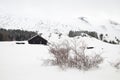 Thorn bushes in snow capped Galvarina Plateau, on backgrounf blurred refuge