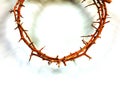 Thorn crown close up Royalty Free Stock Photo