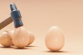 Thorn on egg among cracked eggshell hit by hammer Royalty Free Stock Photo