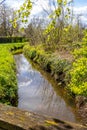 Thornerbeek stream among green grass, wild plants and bare trees in background Royalty Free Stock Photo